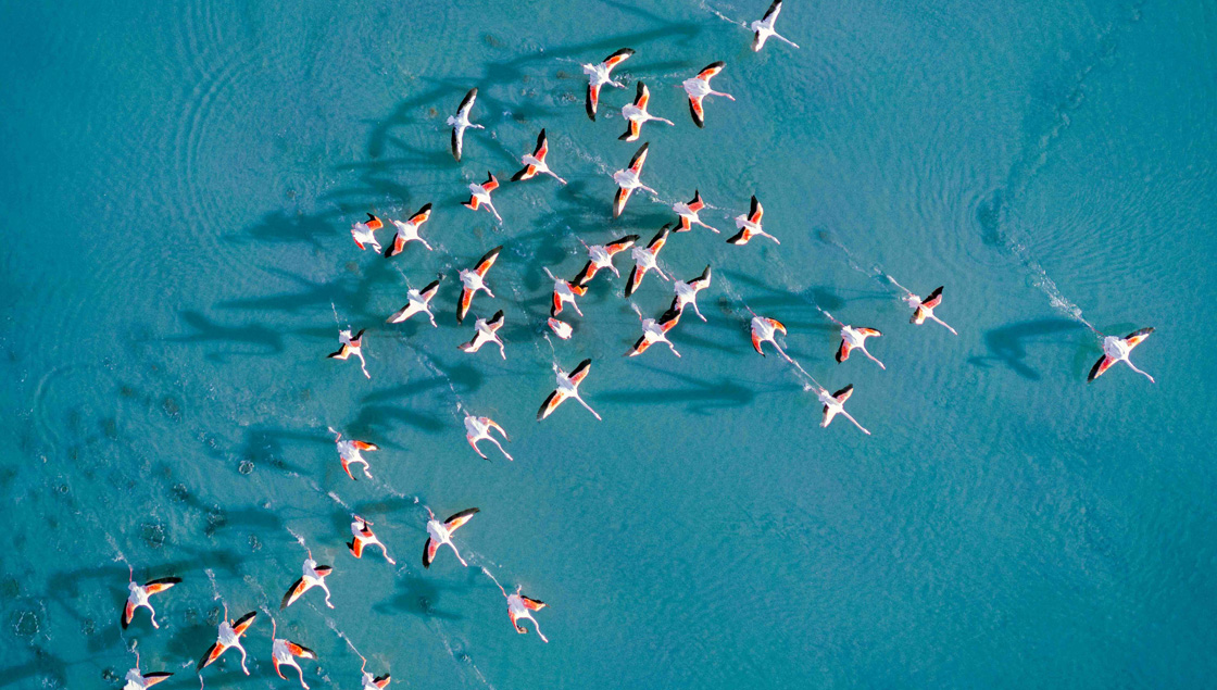 Lefkada-limnothalassa