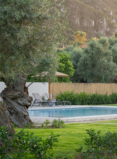 yannis-retreat-landscape